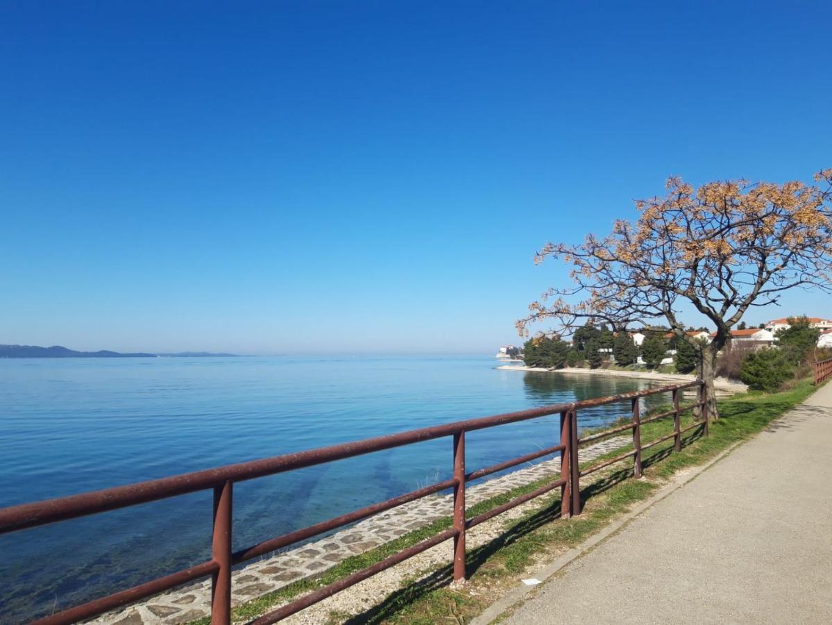 Milo - Zadar