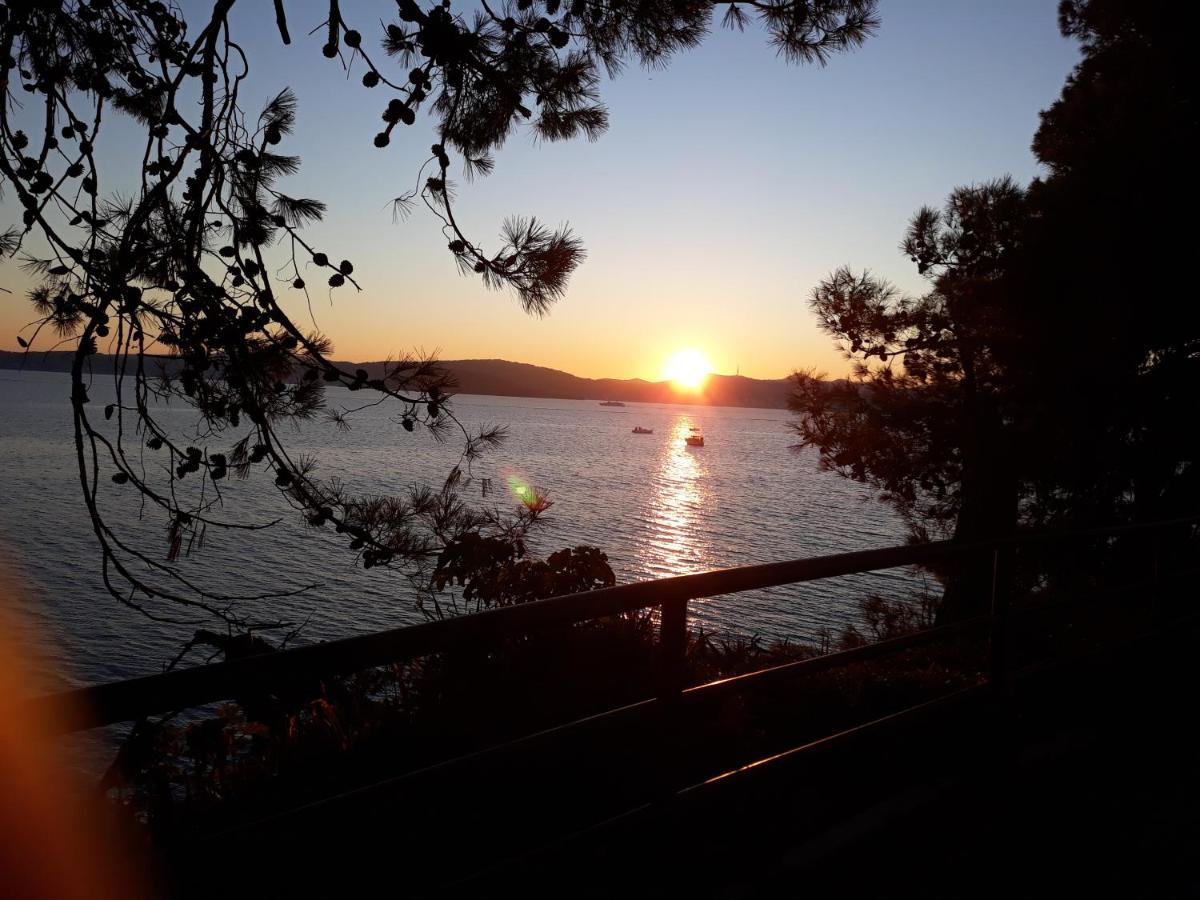 Milo - Zadar