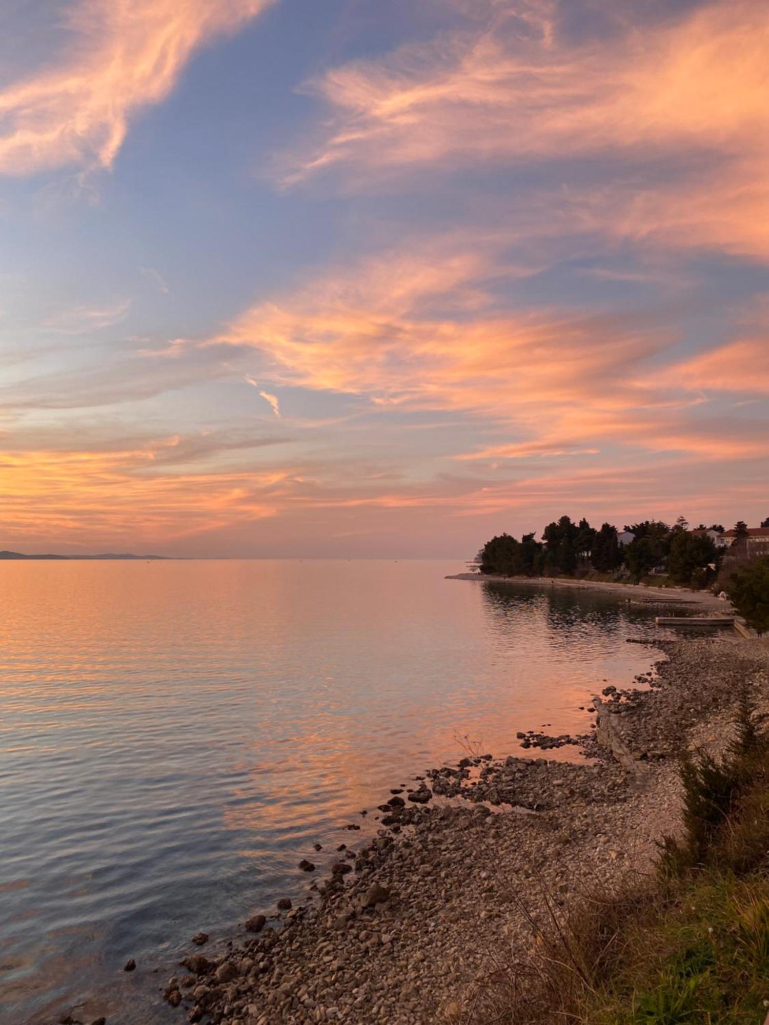 Milo - * Zadar