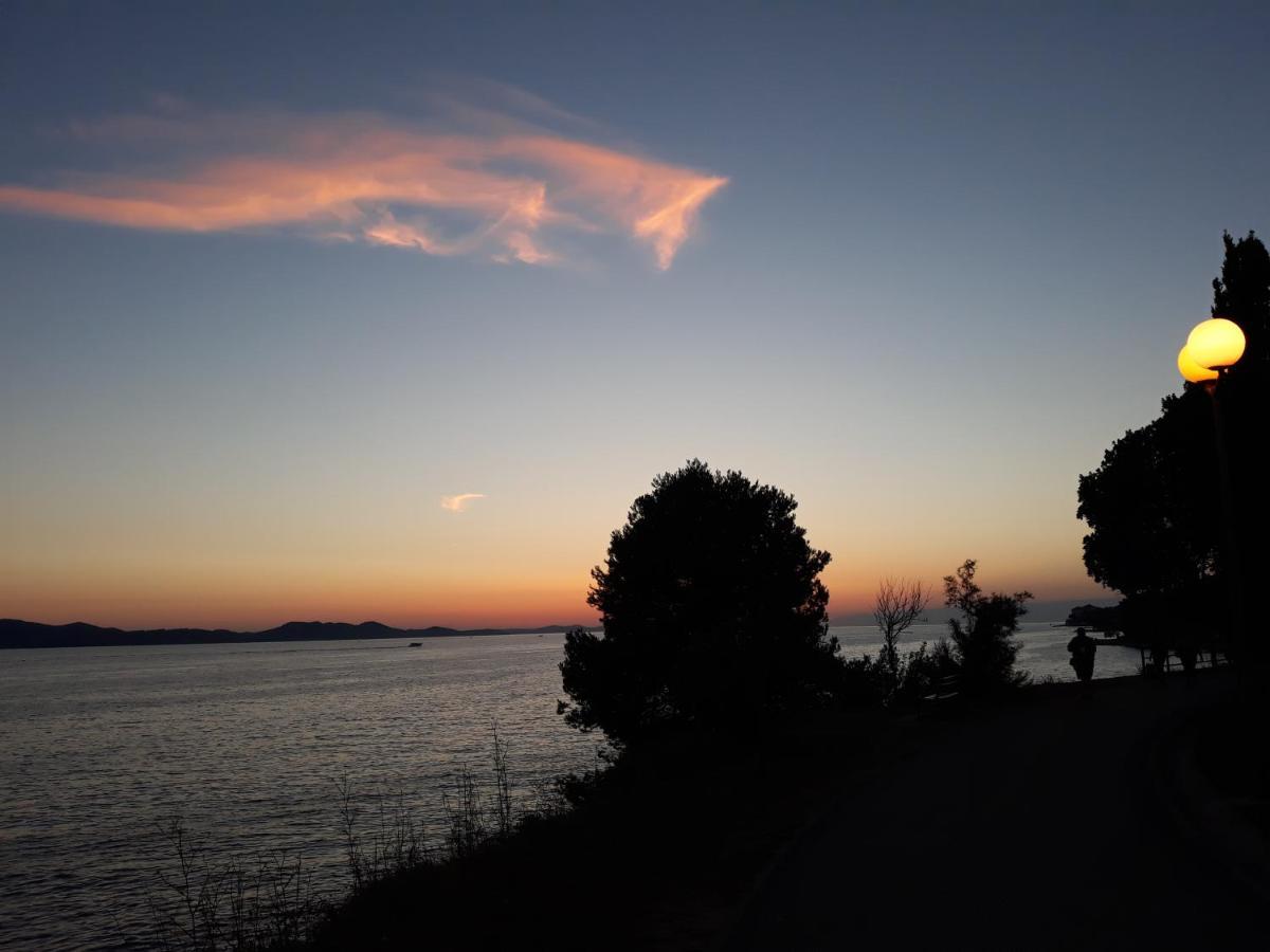 Milo - Zadar