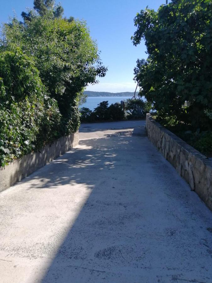 Milo - Zadar